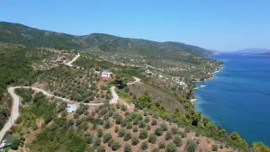 Kalamakia  - ALONISSOSI