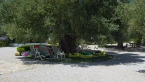 Leftos Gialos Beach  - ALONISSOSI