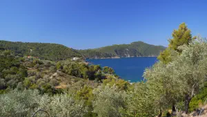 Megali Ammos Beach  - ALONISSOSI