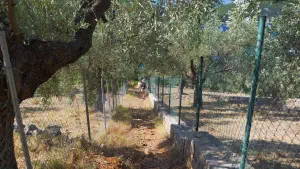 Megali Ammos Beach  - ALONISSOSI