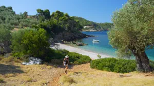 Megali Ammos Beach  - ALONISSOSI