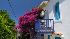 Palia Chora  - ALONISSOSI