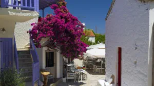 Palia Chora  - ALONISSOSI