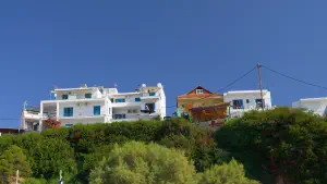 Patitiri  - ALONISSOSI