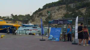 Patitiri  - ALONISSOSI