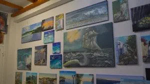 Patitiri  - ALONISSOSI