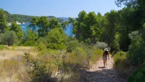 Spartines Beach  - ALONISSOSI