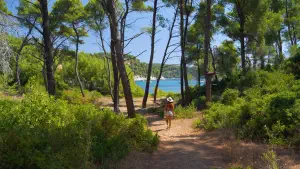 Spartines Beach  - ALONISSOSI