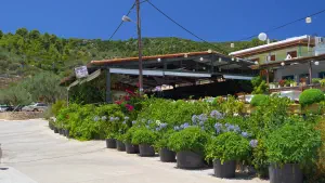 Steni Vala  - ALONISSOSI