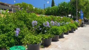 Steni Vala  - ALONISSOSI