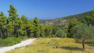 Tourkoneri Beach  - ALONISSOSI