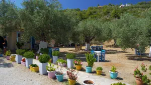 Tzortzi Gialos Beach  - ALONISSOSI