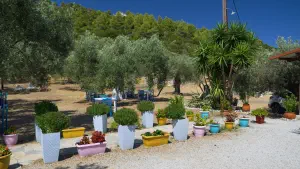 Tzortzi Gialos Beach  - ALONISSOSI