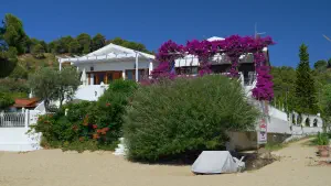 Achladies Beach  - SKIATHOS