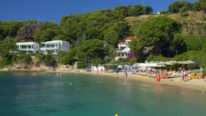 Achladies Beach  - SKIATHOS