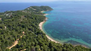 Agia Eleni Beach  - SKIATHOS