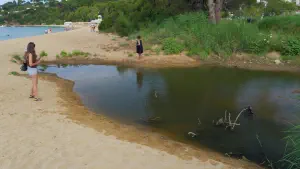 Agia Paraskevi Beach  - SKIATHOS