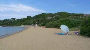 Agia Paraskevi Beach  - SKIATHOS