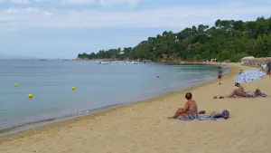 Agia Paraskevi Beach  - SKIATHOS
