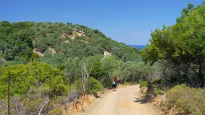Agios Alexandros Church  - SKIATHOS