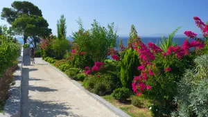 Ambelakia Beach  - SKIATHOS
