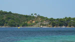 Ambelakia Beach  - SKIATHOS