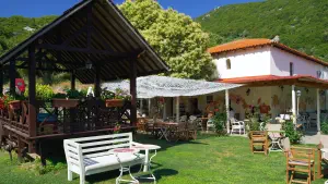 Athos Cafe  - SKIATHOS