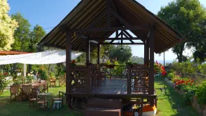 Athos Cafe  - SKIATHOS