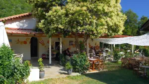 Athos Cafe  - SKIATHOS