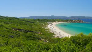Elia Beach  - SKIATHOS
