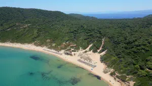 Elia Beach  - SKIATHOS