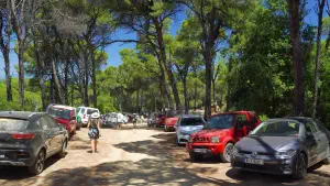 Elia Beach  - SKIATHOS