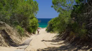 Elia Beach  - SKIATHOS