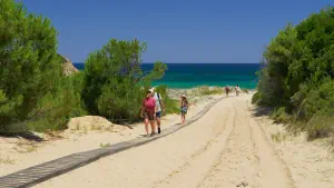 Elia Beach  - SKIATHOS