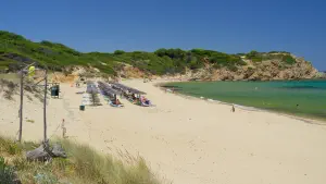 Elia Beach  - SKIATHOS