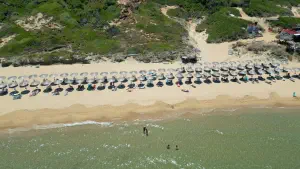 Elia Beach  - SKIATHOS