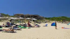 Elia Beach  - SKIATHOS