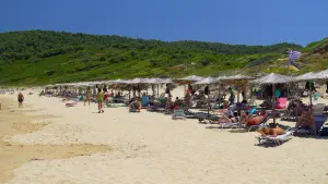 Elia Beach  - SKIATHOS