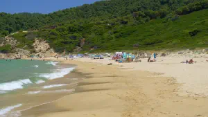 Elia Beach  - SKIATHOS