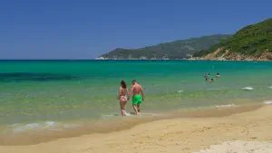 Elia Beach  - SKIATHOS