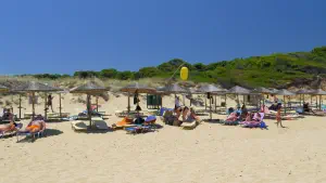 Elia Beach  - SKIATHOS