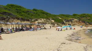 Elia Beach  - SKIATHOS