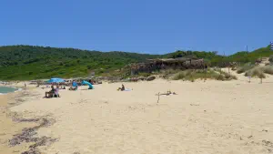 Elia Beach  - SKIATHOS