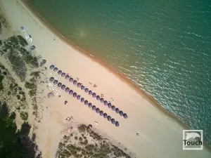 Elia Beach  - SKIATHOS