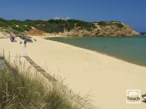 Elia Beach  - SKIATHOS