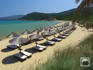 Elia Beach  - SKIATHOS