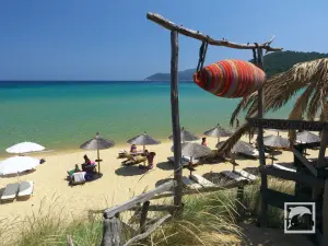 Elia Beach  - SKIATHOS