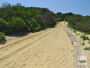 Elia Beach  - SKIATHOS
