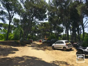 Elia Beach  - SKIATHOS