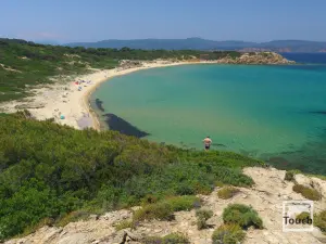 Elia Beach  - SKIATHOS